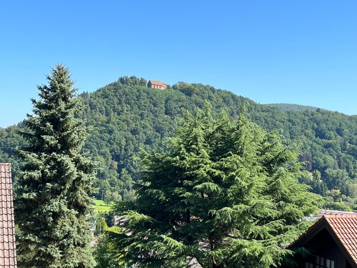 Apartmán Weitblick 1 Amorbach Exteriér fotografie